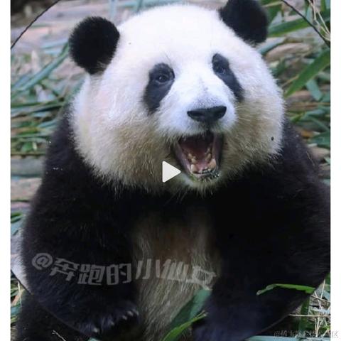 Ricardo_M_Eric于2023-05-05 21:14发布的图片