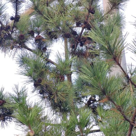 kzcserin于2022-11-27 05:54发布的图片