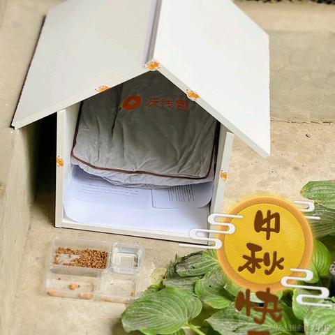 暖阳之时于2021-09-18 15:19发布的图片