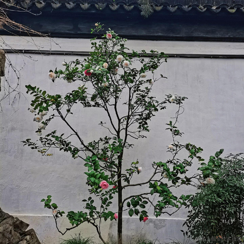 P3rf3ctW0maN于2023-04-13 19:42发布的图片