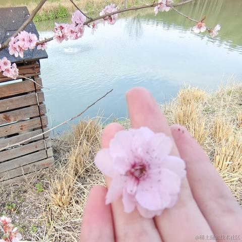 用户7186131603423于2023-05-10 18:59发布的图片