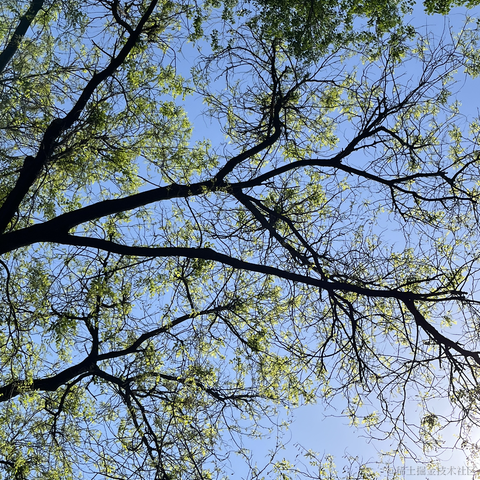 菜到不行于2023-04-29 19:02发布的图片