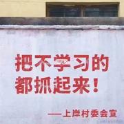 用户3110857480775的个人资料头像