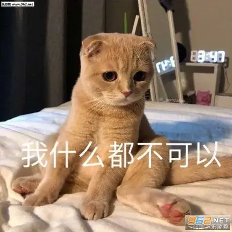 卡莎于2022-04-24 13:59发布的图片