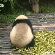 蔡徐困于2023-05-18 09:57发布的图片