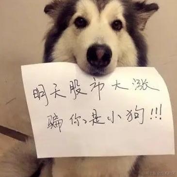 Nevertheless于2021-01-28 16:08发布的图片
