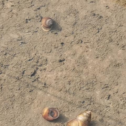 嘉然13136于2022-11-26 21:33发布的图片