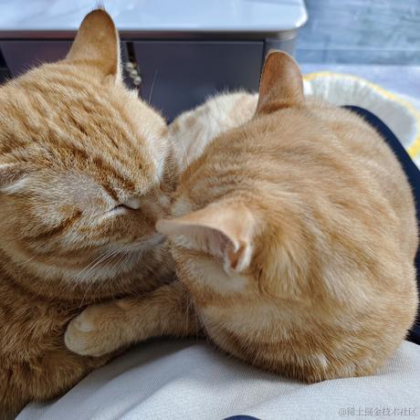 柯西西西于2023-05-22 10:47发布的图片