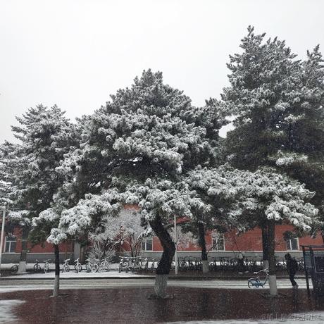 Belluckira于2022-11-12 09:13发布的图片