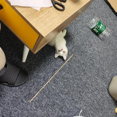 橙子C于2022-05-06 13:32发布的图片