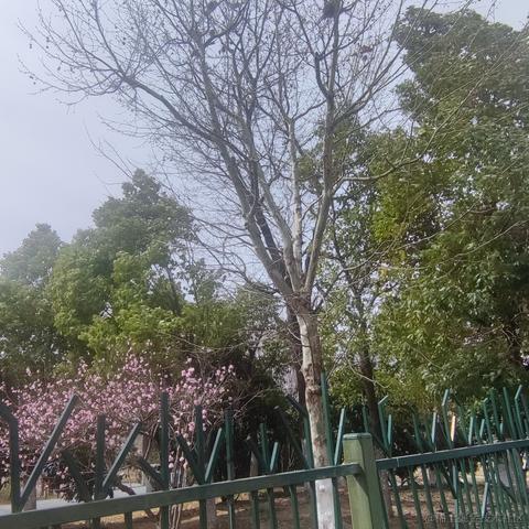 秒写二叉树于2023-03-15 17:01发布的图片