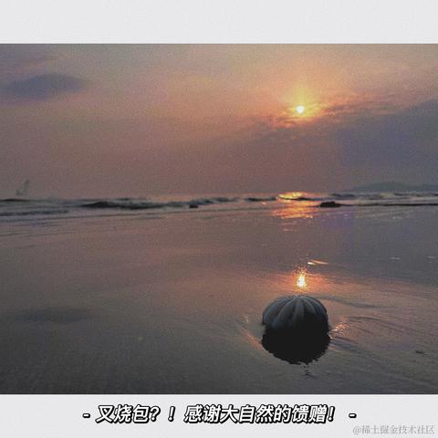 Canivores于2023-03-14 12:04发布的图片