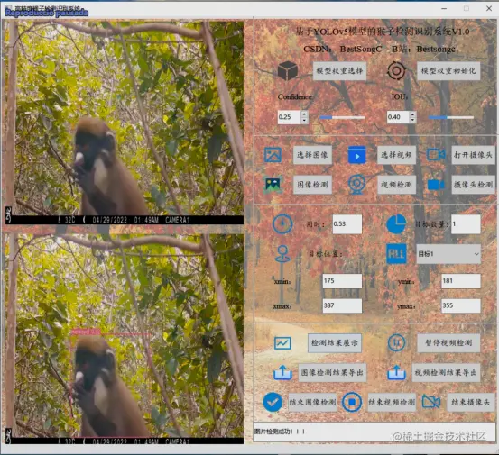 高精度猴子检测识别系统447.png