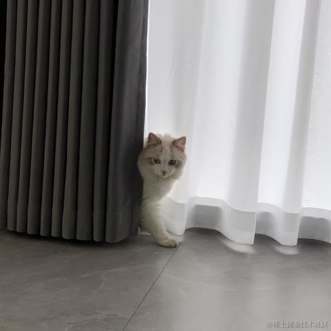 阿尼亞于2023-07-18 09:27发布的图片