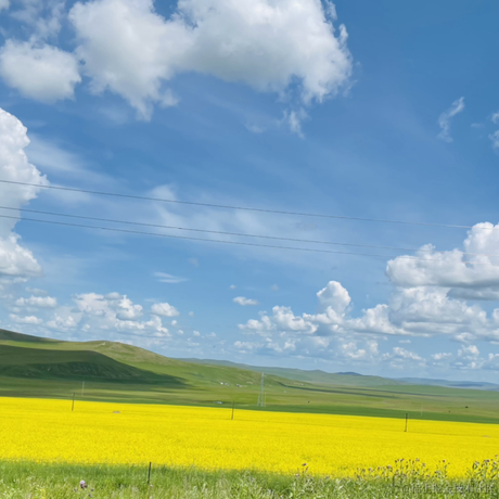 已注销于2021-07-05 15:10发布的图片