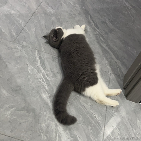 单纯丶稀饭于2024-06-04 07:51发布的图片