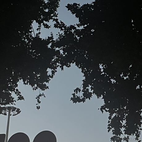 好奇派对于2023-06-27 22:05发布的图片