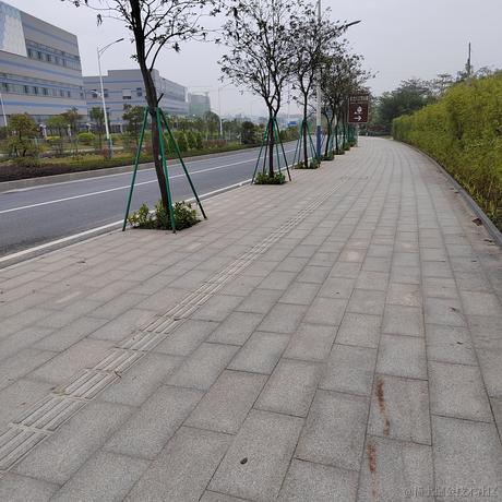 前路漫漫lp于2022-11-29 07:15发布的图片