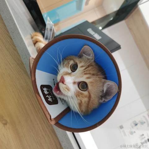 en送你一朵小红花于2022-09-09 14:53发布的图片