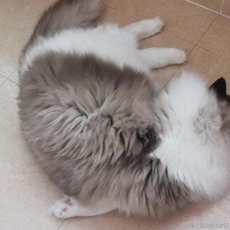 Firmament于2022-11-28 13:03发布的图片