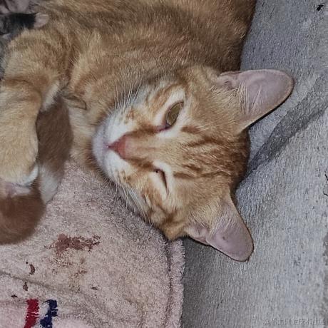 You1i于2023-05-10 11:02发布的图片