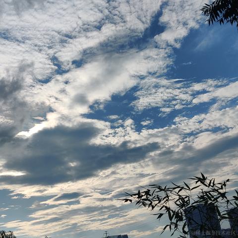 __Petrichor于2024-07-03 17:37发布的图片