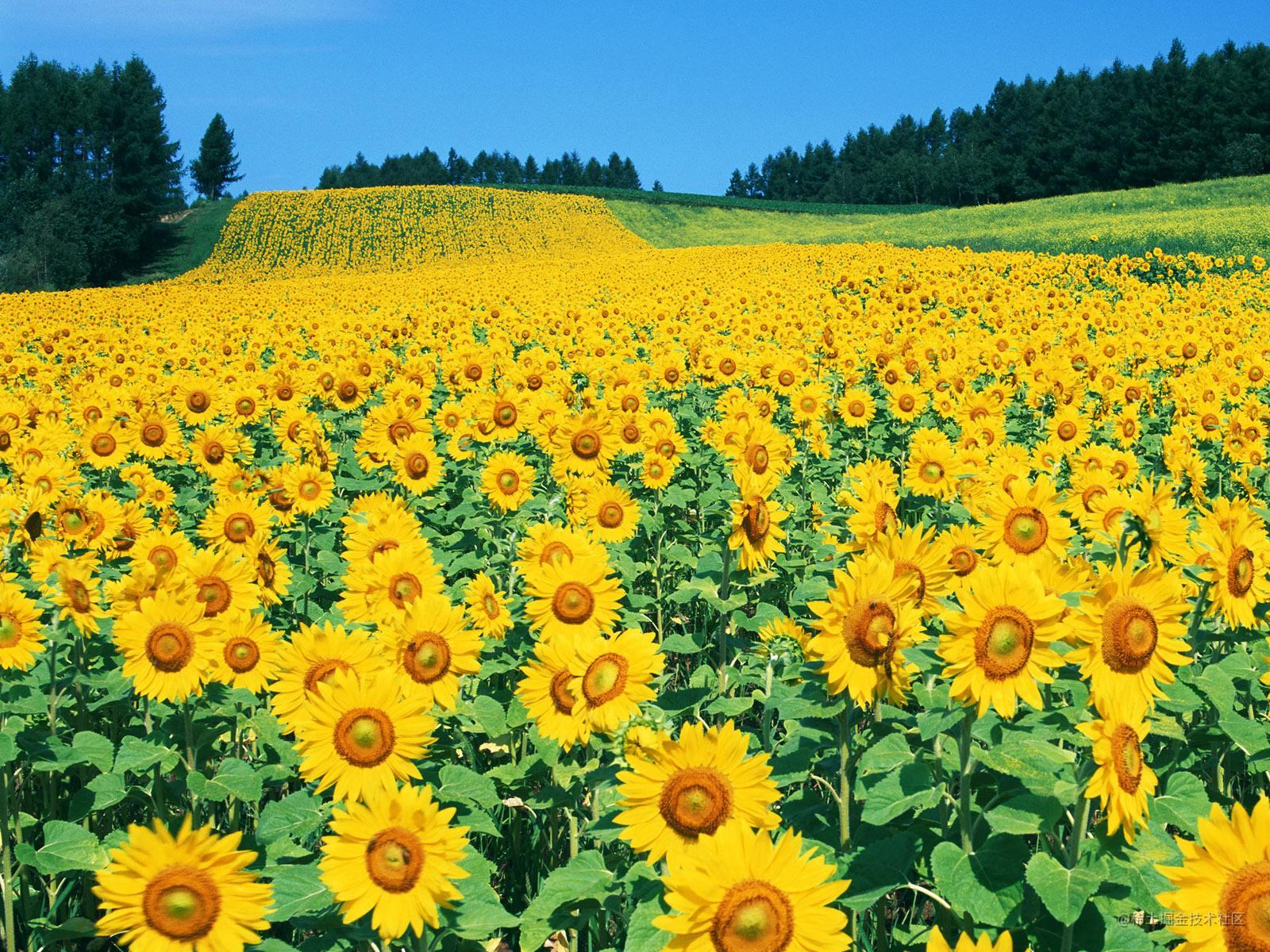 2分钟学一个Linux