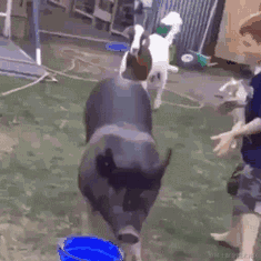 火星网友于2021-05-27 17:56发布的图片