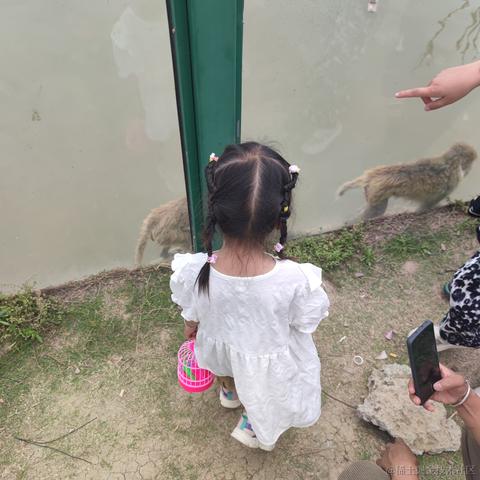 一依不舍于2023-05-02 21:46发布的图片