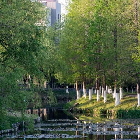 HakineLee于2023-04-12 21:28发布的图片