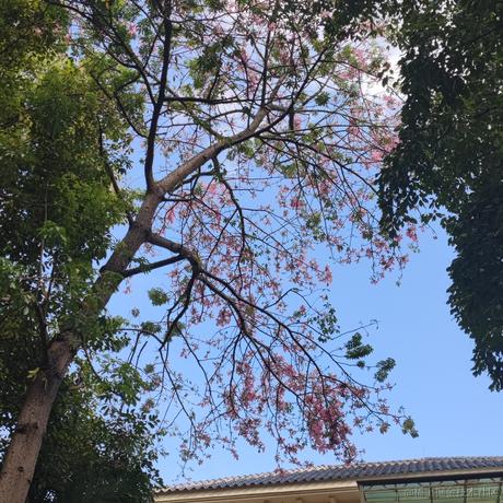 李左于2022-10-03 09:59发布的图片