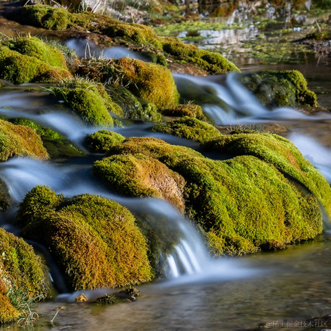 芳心纵火犯_于2021-12-17 02:15发布的图片