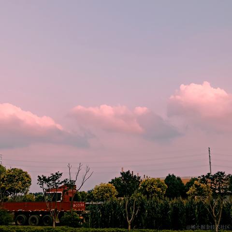 _鱼_于2022-07-08 09:46发布的图片