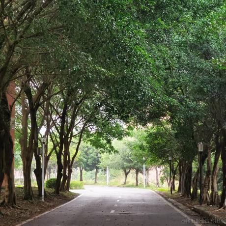 暮春于2022-11-21 08:09发布的图片