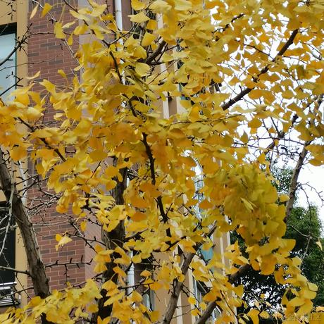 Reeeee于2022-12-22 10:23发布的图片