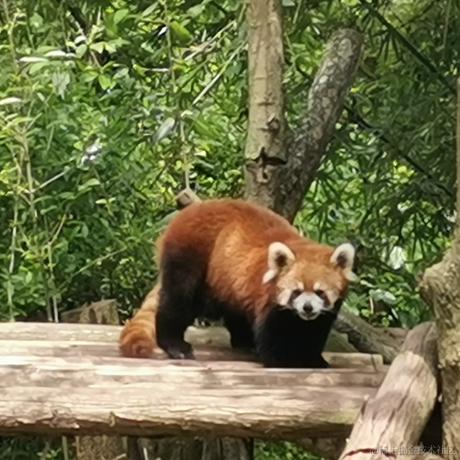 我家二宝最可爱了于2022-11-27 09:43发布的图片