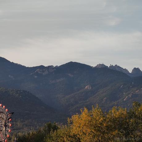 王宪法的小可爱于2022-12-01 19:36发布的图片