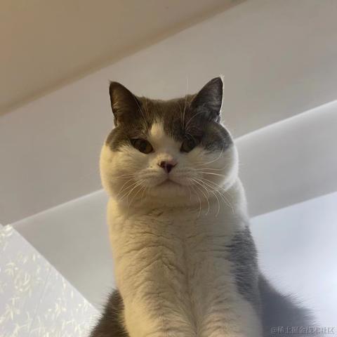 躺平的_韭菜于2022-12-10 22:01发布的图片