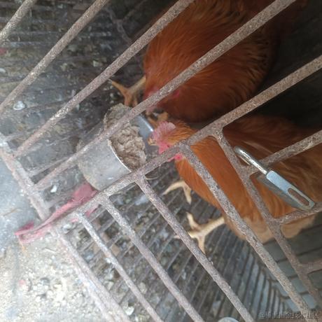 cp3_forever于2023-01-26 22:25发布的图片