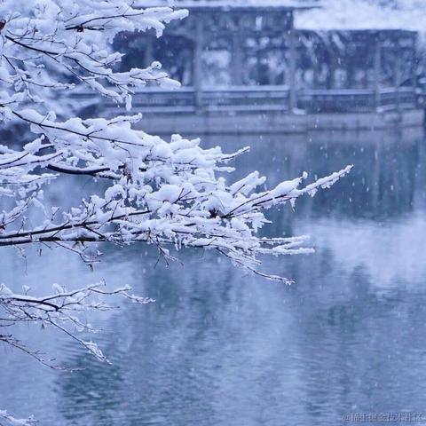 绝金于2022-12-01 15:18发布的图片