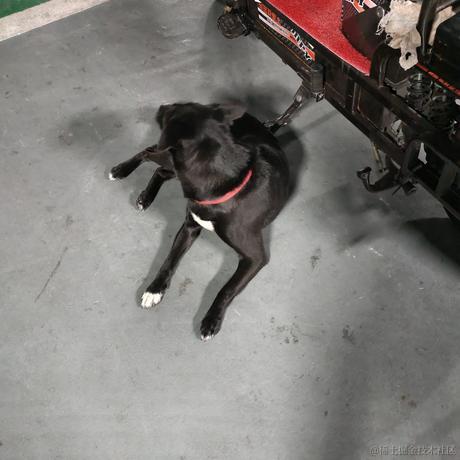 北极星星点点于2022-11-27 12:31发布的图片