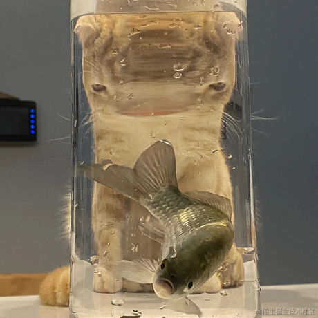 OrangePi于2021-09-28 17:19发布的图片