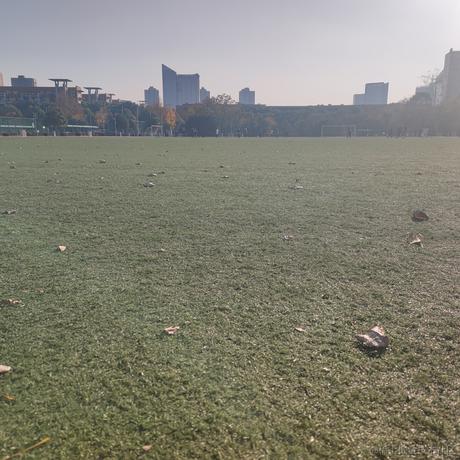 草莓捏于2022-11-28 09:40发布的图片