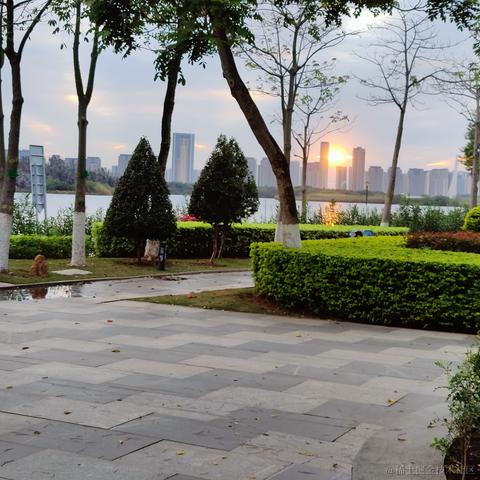 跳跳虎穿匡威于2022-12-17 19:09发布的图片