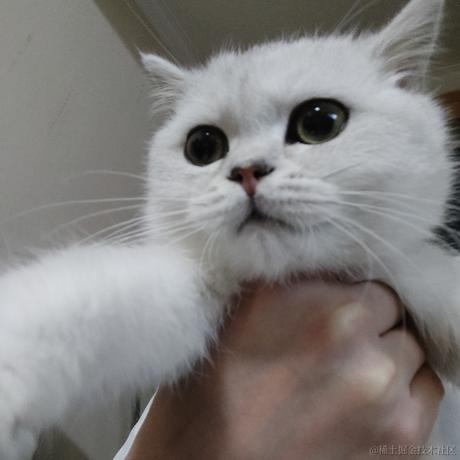 Henry1997于2023-01-10 14:45发布的图片