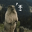 Ricardo_M_Eric于2023-06-08 10:00发布的图片