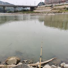 飞天大薯条于2022-01-01 21:13发布的图片