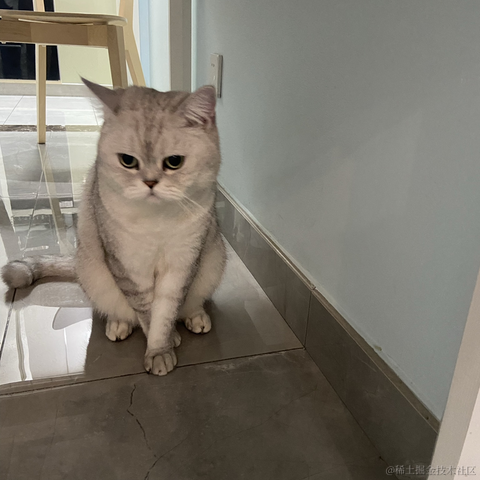 Lz_heng于2022-11-02 09:16发布的图片