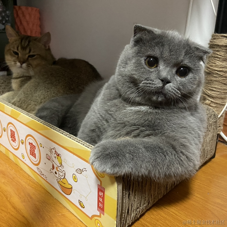 聪明的花鹿子于2021-07-26 15:52发布的图片