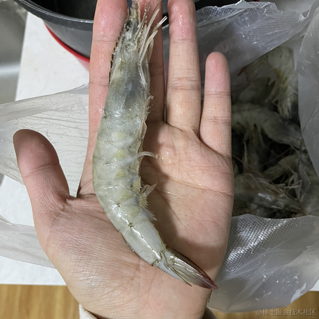 肥肥龙于2022-12-04 23:23发布的图片